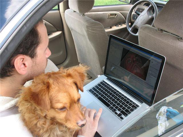A man and a golden-haired dog watch footage on a laptop inside a parked car.